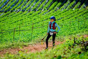 BIB: 1007
                            <button type="button" onclick="openModal(19163460)" class="btn btn-primary btn-sm float-right btn-popup" data-toggle="modal" data-target=".modal-high-quality">
                        <i class="fas fa-shopping-cart"></i> Add to Cart
                    </button>
                                            <button type="button" onclick="isThisMe(19163460, true)" class="btn btn-success btn-sm float-right btn-popup btn-isme hidden" data-toggle="tooltip" data-placement="bottom" title="นี่คือรูปของคุณใช่ไหม คลิกที่นี่เพื่อเอาเข้าอัลบั้ม">
                        <i class="fas fa-plus"></i> Add to album
                    </button>
                    <button type="button" onclick="isThisMe(19163460, false)" class="btn btn-warning btn-sm float-right btn-popup btn-isnotme hidden">
                        <i class="fas fa-ban"></i> Remove from album
                    </button>